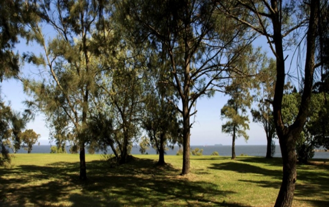 Club de Golf del Cerro